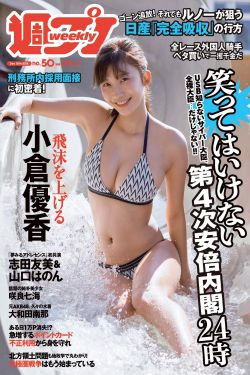 织田信奈的野望小说